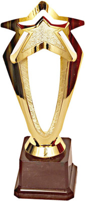 

Homeshopeez Premium Star Trophy(9.7 Inches)
