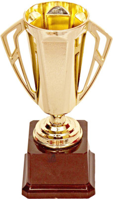 

Homeshopeez Champion Trophy(7.5 Inches)
