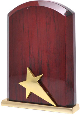 

Frontfoot Sports FTK - 15100 (21 cm) Trophy(21)