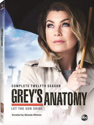 

Grey's Anatomy The Complete Twelfth Season 12(DVD English)