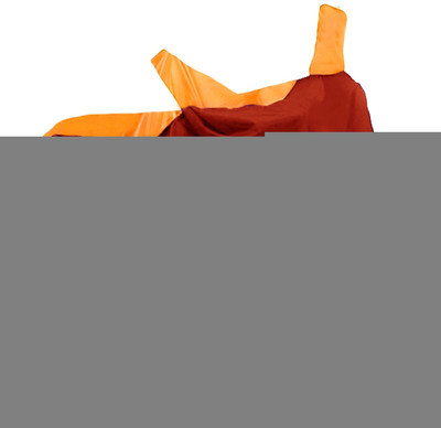 AutoKitt Two Wheeler Cover for Honda(CB Shine, Orange, Silver)