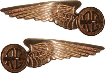 

Zadon BRASS PETROL TANK MONOGRAM WING TYPE FOR ROYAL ENFIELD Motorcycle Tank Sticker(Pack of 2)