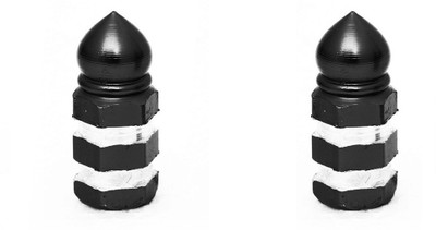 

Speedwav Iron Tyre Valve Cap for Bike(Cylinder)