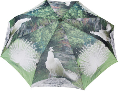 

FabSeasons Colorful Printed Umbrella(Green)