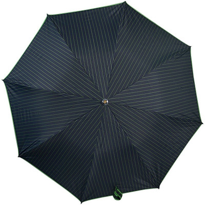 

Elephant Brand 2 Fold Reva Automatic Umbrella(Black, Green)