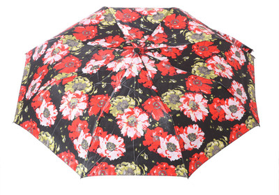 

Barbarik UM_2 FOLD_RED BLACK Umbrella(Black, Red)