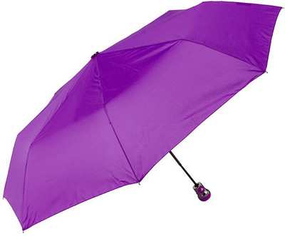 

Global Gifts Citizen Automatic Two Fold Umbrella Umbrella(Purple)