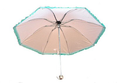 Ellis ss19 Umbrella(Multicolor)