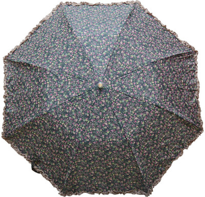 

Fendo 2 Fold Auto Open Multi color 400129_A Umbrella(Multicolor)