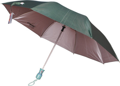 Bs Spy Crystal Nylon Green 2 Fold Umbrella(Green)