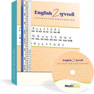 Multiicon E2G Character Convertor(Lifetime, 1 PC)