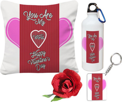 

SKY TRENDS Cushion Gift Set