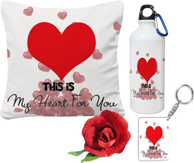

SKY TRENDS Cushion Gift Set