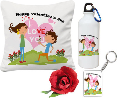 

SKY TRENDS Cushion Gift Set