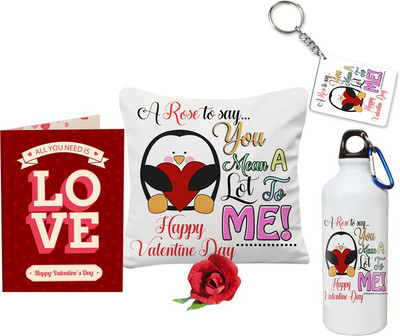 

SKY TRENDS Cushion Gift Set