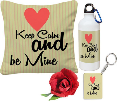 

SKY TRENDS Cushion Gift Set