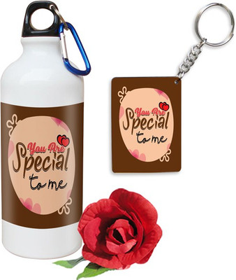 

SKY TRENDS Showpiece Gift Set