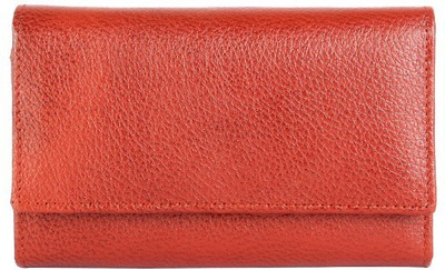 

Xccess Casual Multicolor Clutch