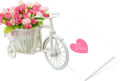 

Tied Ribbons Greeting Card Gift Set