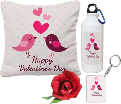 

SKY TRENDS Cushion Gift Set
