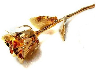 

BIGINDIANSHOP ROSE GOLD Vase Filler(rose)