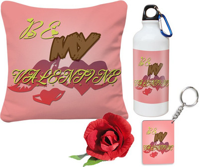 

SKY TRENDS Cushion Gift Set