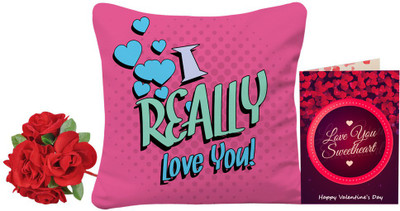 

SKY TRENDS Cushion Gift Set