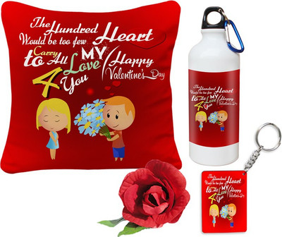 

SKY TRENDS Cushion Gift Set