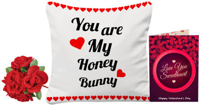 

SKY TRENDS Cushion Gift Set