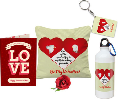 

SKY TRENDS Cushion Gift Set