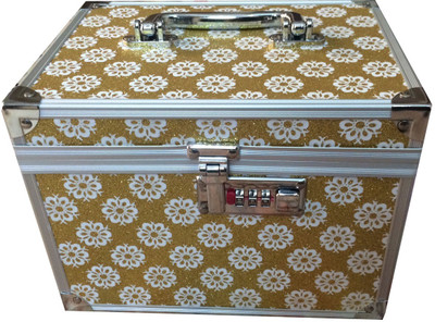 

Platinum Cosmetics Makeup and Jewellery Vanity Box(Golden)