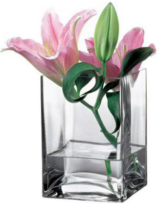 49% OFF on PASABAHCE Glass Vase(5.5 inch, Clear) 49% OFF on PASABAHCE Glass Vase(5.5 inch, Clear)