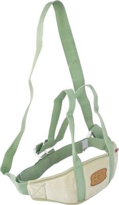 Kiwi Baby Walker