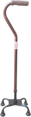 

SURBHI SUIMPW4 Walking Stick