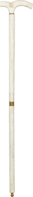

shivika enterprises shi661 Walking Stick