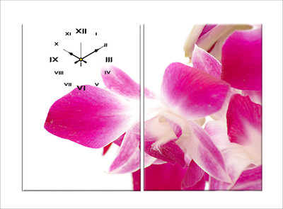 57% OFF on Design O Vista Analog 50 cm X 70 cm Wall Clock(Multicolor, Without Glass)