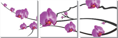 

Design Home Floral Art(Multicolor)