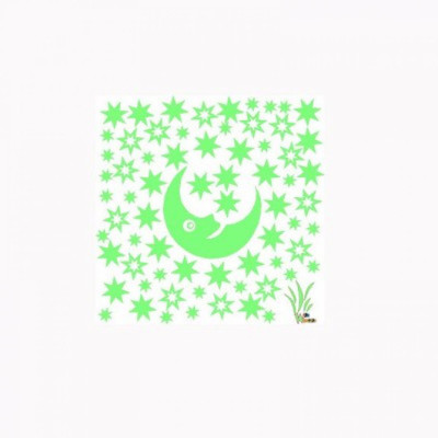 

Dream Bag moon and stars(Green)