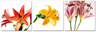 50% OFF on Go Hooked Orange And Yellow Mdf 3 Panel Wallpaper(Multicolor)