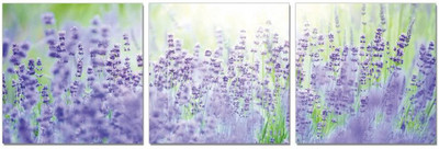 50% OFF on Go Hooked Orange And Yellow Mdf 3 Panel Wallpaper(Multicolor)