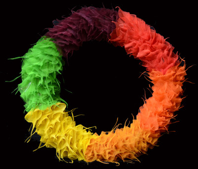 

Exotic Creations Tangle Twist - Dried flower wreath(cm 40, Multicolor)