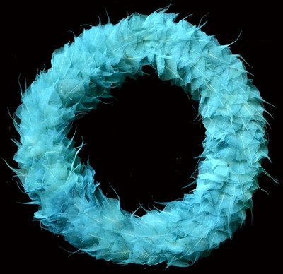 

Exotic Creations Lavender Elegance - Dried flower wreath(cm 40, Blue)