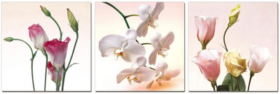 50% OFF on Go Hooked White And Pink Mdf 3 Panel Wallpaper(Multicolor)