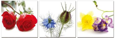 50% OFF on Go Hooked Orange And Yellow Mdf 3 Panel Wallpaper(Multicolor)