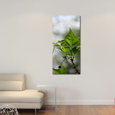 55% OFF on 999 Store Multiple Frames Printed Leafs like Modern Wall Art Painting -2 Frames (76x25 cm)(Multicolor)