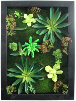 

Fourwalls Artificial Succulent Wall Hanging Garden - 5(20 cm X cm 40, Green, Black)