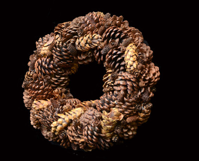 

Exotic Creations Nature World - Dried flower wreath(cm 40, Multicolor)