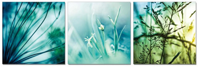 50% OFF on Go Hooked 3 Panel Wall Decor(Multicolor)