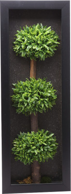 

Fourwalls Artificial Evergreen 3 Head Wall Hanging Tree Frame(20 cm X cm 55, Green, Black)