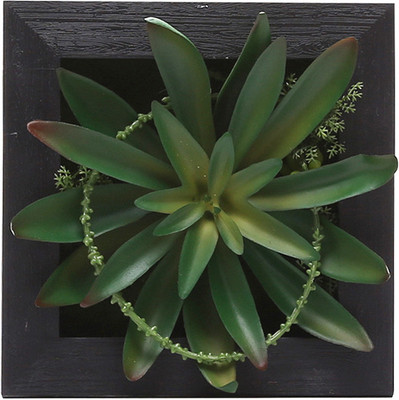 

Fourwalls Artificial Succulent Wall Hanging Garden - 1(15 cm X cm 15, Black, Green)